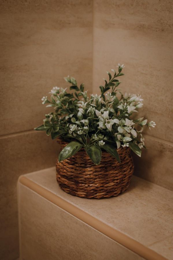Dozsa Apartman Szeged Luaran gambar